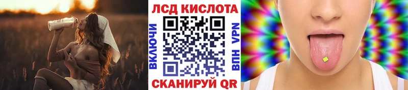 Наркотические марки 1500мкг  сколько стоит  блэк спрут ТОР  Кропоткин 